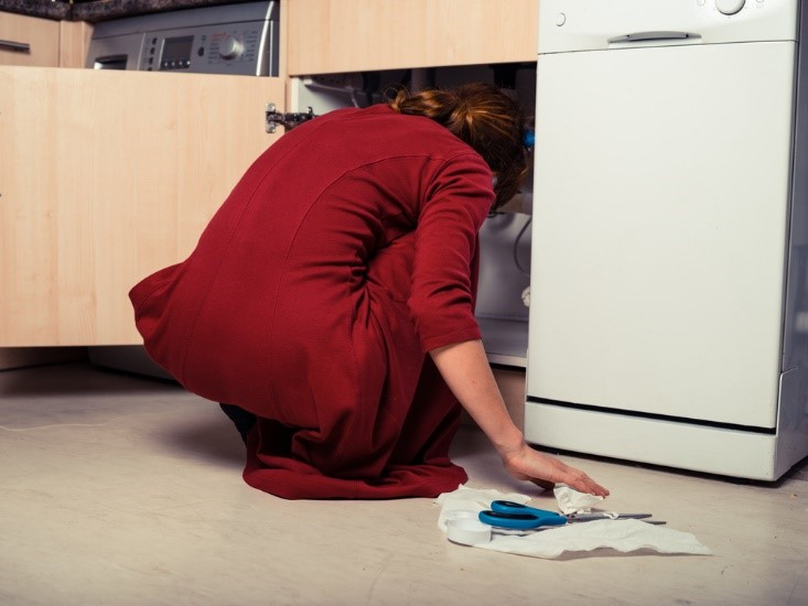 Remove Mold Under Sink.png